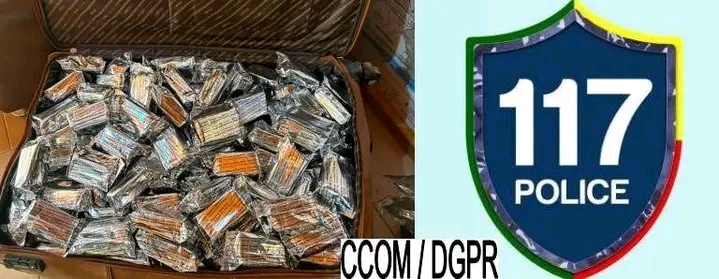 Hêvié : la police républicaine saisit plus de 24 000 comprimés de Tramadol  ‎