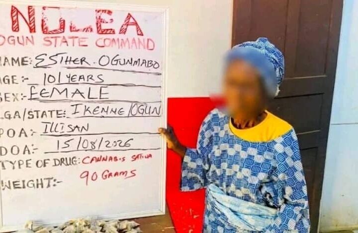 Nigeria : une vieille femme de 101 ans interpellée pour trafic de cannabis 