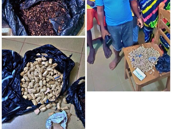 Abomey-Calavi : 300 boulettes de chanvre indien saisies à Ouèdo, 04 suspects interpellés