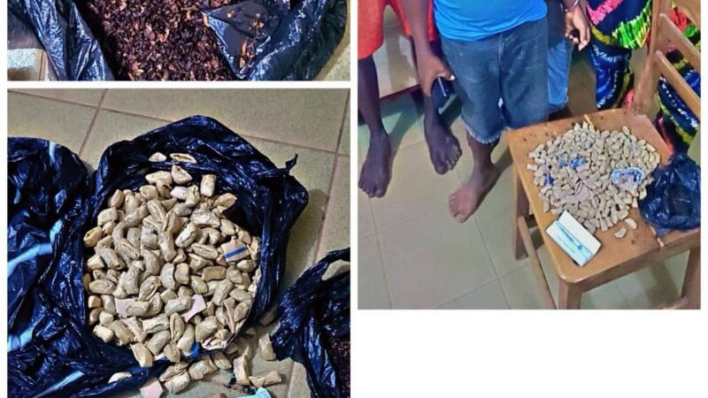 Abomey-Calavi : 300 boulettes de chanvre indien saisies à Ouèdo, 04 suspects interpellés