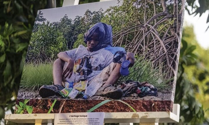 Préservation des écosystèmes fluviomarins: La deuxième édition du festival Mangal officiellement lancée