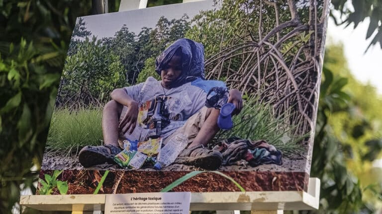 Préservation des écosystèmes fluviomarins: La deuxième édition du festival Mangal officiellement lancée