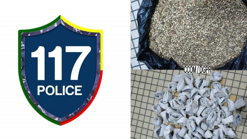 Cotonou : 02 dealers interpellés avec plus de 950 grammes de chanvre indien