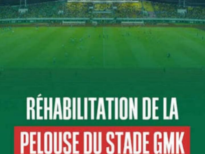 REGARDS CROISÉS : Stade GMK / Guépards : 2 rénovations, 3 ans d&rsquo;exil