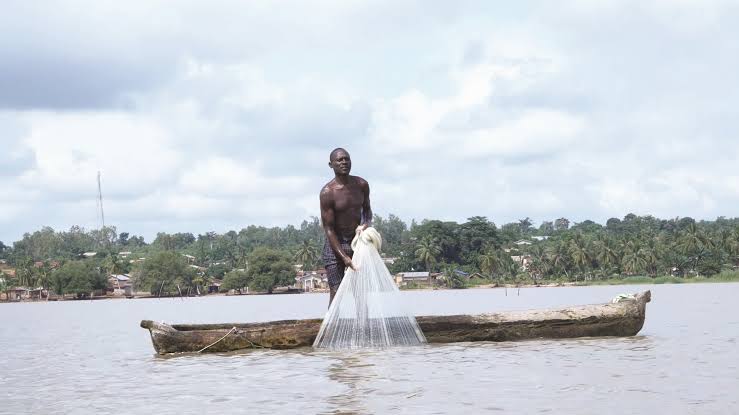 Complexe fluvio-lagunaire Ouest: le lac Ahémé fermé à la pêche à partir du 30 septembre