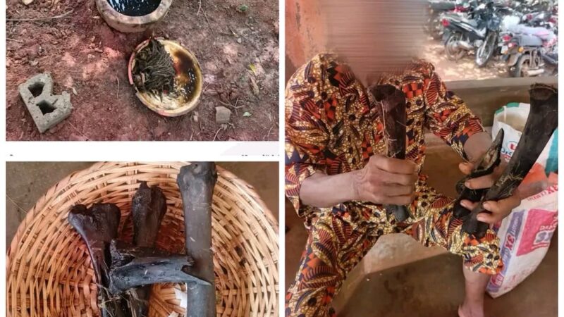 Tori-Bossito : Des ossements humains retrouvés au domicile d’un guérisseur traditionnel